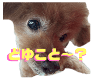 610749616