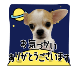 610764766