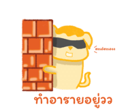 610774637