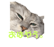 610784348