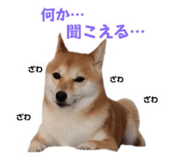 610809581
