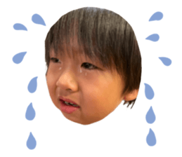 610855778