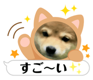 610971953