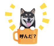 610971971