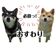 610971981