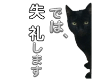 610983581