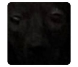 611000964