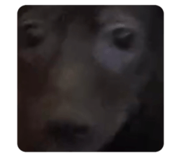 611000972