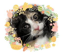 611094668