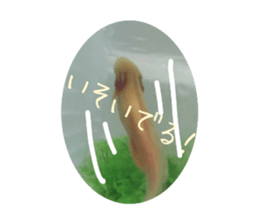 611106692