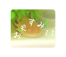 611106702