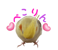 611106764