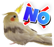 611106789