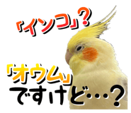 611106796
