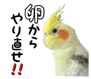 611106797