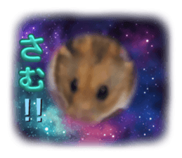 611111036