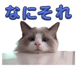 611117802