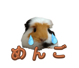 611127999