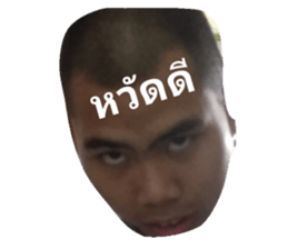 61113198