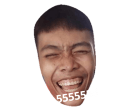 61113201