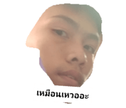 61113202