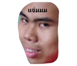61113204