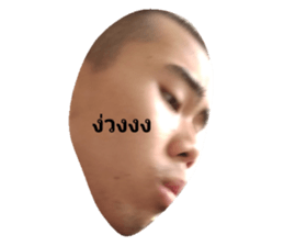 61113205