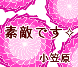 61114705
