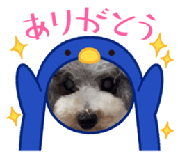 611167838