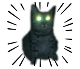 611179909