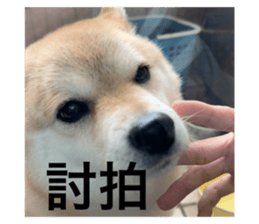 611208200
