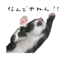 611213191