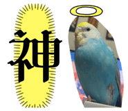611221971