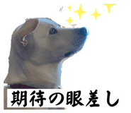 611221980