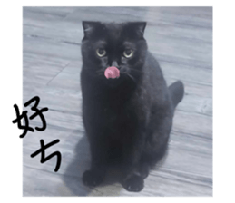 611228814