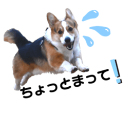 611233131