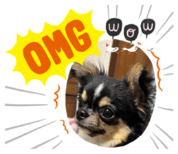 611233699