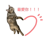 611267776