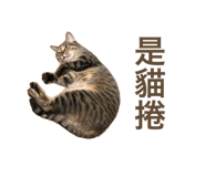 611267779