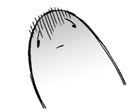 611278642