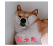 611285263