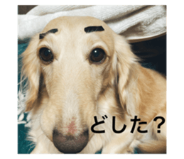 611292981