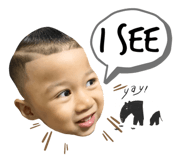 611338809