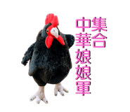 611347869