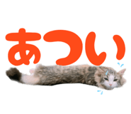 611359730
