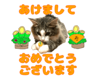 611359741