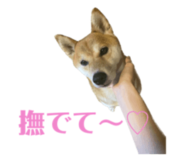 611360654