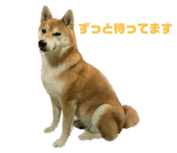 611360660