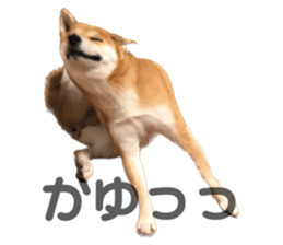 611360666