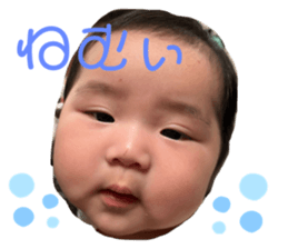 611395043